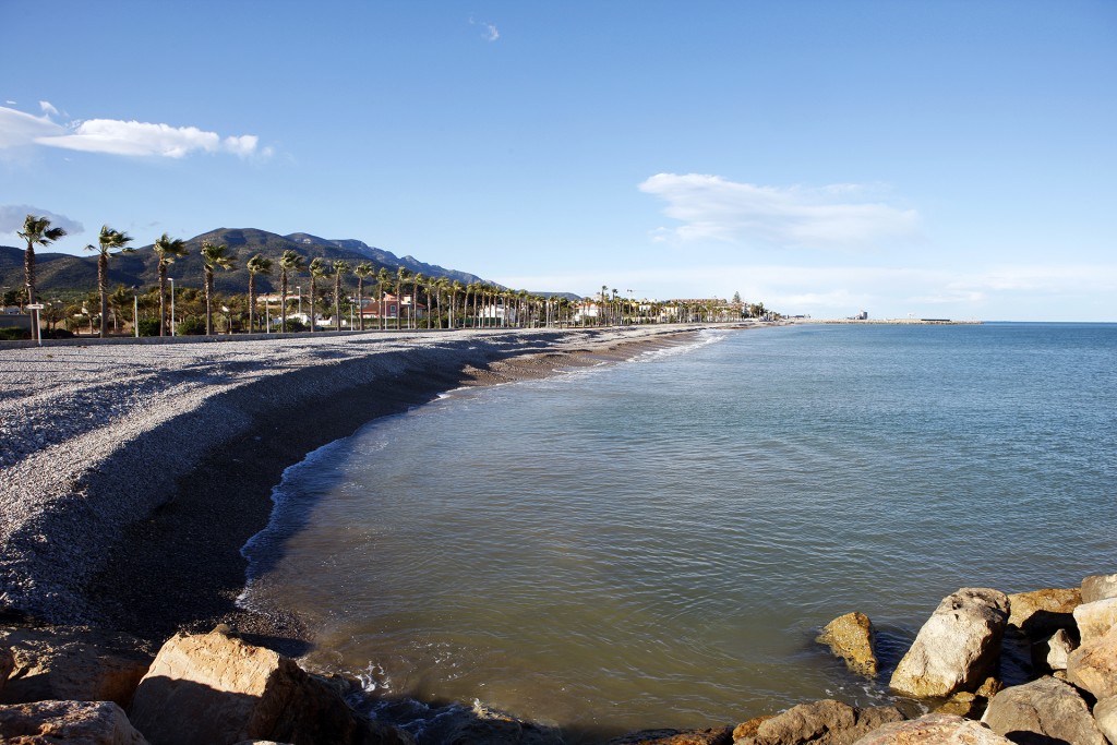 Bandera Blava Platja Les Cases-Marjal 